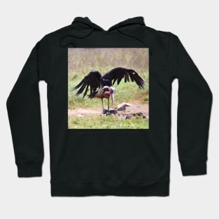 Marabou Stork Just Landing Hoodie